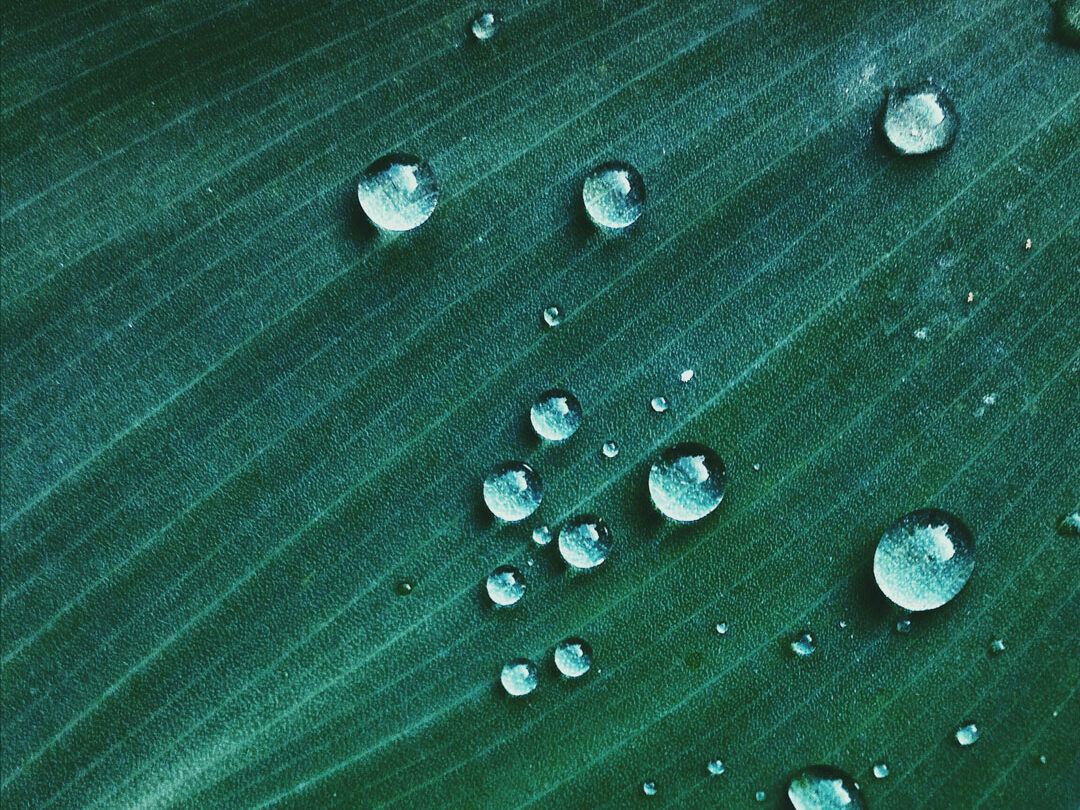 Anxiety Washington DC